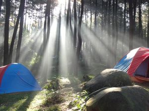 Mau Kemping di Gunung Pancar Bogor, Ini Tarif Tiket dan Fasilitasnya