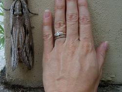 Deretan Hewan Nyata yang Tampak Seperti di FIlm Sci-Fi