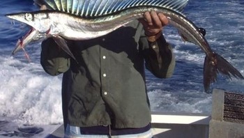 Kami tidak tahu apa yang lebih menakutkan: gigi, mata atau siripnya? Foto: Brightside