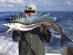 Deretan Hewan Nyata yang Tampak Seperti di FIlm Sci-Fi