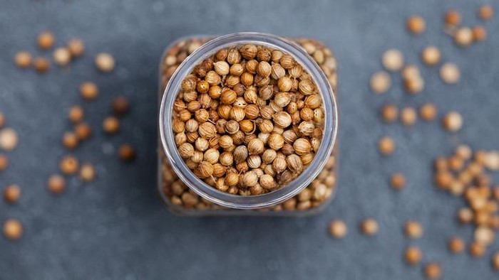 Coriander