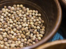 Air Rebusan Ketumbar Bisa untuk Obat Apa? Ini Manfaat dan Cara Minumnya