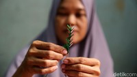 Hampir setiap hari Ondel Ondel Hafis memproduksi miniatur ondel-ondel yang dibuat secara handmade tersebut.