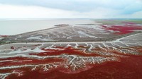 Keajaiban alam yang unik, bukan?  (AFP via Getty Images/ CNN Travel)