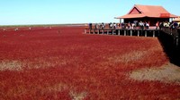 Karena keindahan, pantai ini dijuluki sebagai garis pantai rekreasi paling romantis di China. Dan juga terdaftar tempat pemandangan nasional. (AFP via Getty Images/ CNN Travel)