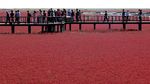Foto: Pantai Merah yang Bukan Pantai di China
