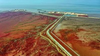 Dengan adanya bunga liar merah, membuat rawa-rawa ini menjadi tempat menarik bagi pengunjung untuk menikmati keindahan alam. Kalau anak-anak sekarang bilang, ini lokasi yang instagramable banget untuk berfoto. (AFP via Getty Images/ CNN Travel)