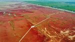 Foto: Pantai Merah yang Bukan Pantai di China