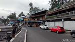 Potret Sisi Lain Tegallalang Bali
