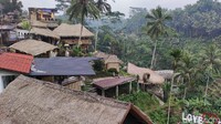 Meski di musim kemarau Tegallalang Rice Terrace tetaplah hijau. Air di persawahan bertipe terasering itu tetap dipenuhi air (Foto: Ahmad Masaul Khoiri/detikcom)