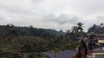 Potret Sisi Lain Tegallalang Bali