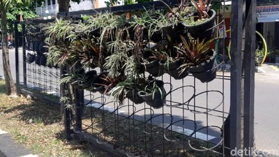 Waduh! Pot Tanaman di Kawasan Wisata Ini Hilang Dicuri