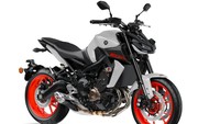 Keunggulan dari MT-07dan MT-09, awalnya motor ini pertama kali diperkenalkan pada ajang Tokyo motor Show 1999 dengan konsep MT-01 yang diartikan sebagai detak jantung. Ini menggabung sisi gelap pengendara untuk bisa merasakan torsi maksimum. Kedua motor ini merupakan master of torque dalam setiap kelasnya.