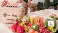 Wajah Ciki nampak glowing selama hamil. Salah satu rahasianya mungkin terletak pada pola makan berbasis buah dan sayur ala dirinya. Foto: Instagram citraciki