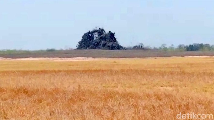 Oro-oro Kesongo Oro-oro Kesongo berada di Desa Gabusan, Kecamatan Jati, Kabupaten Blora, Jawa Tengah.
