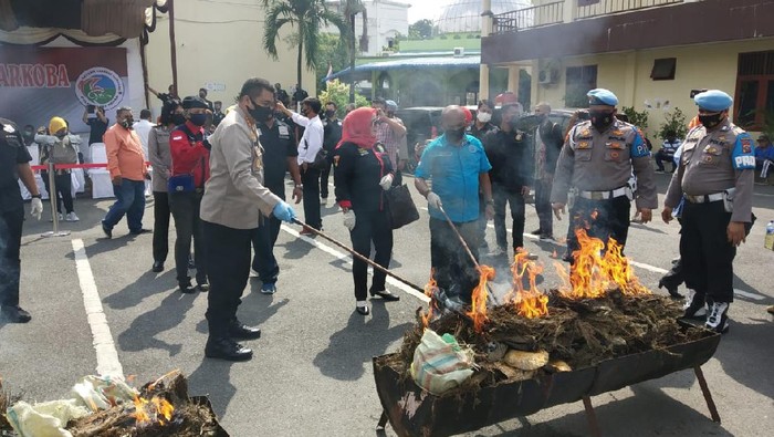 Pemusnahan ganja di Medan (dok. Istimewa)