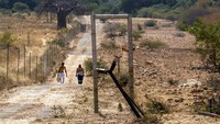 Menurut Institut Tembakau Afrika Selatan, pasar rokok ilegal menyebabkan kerugian pajak di Afrika Selatan hingga 8 miliar rand (sekitar Rp 6,6 triliun), dan lebih dari 40 miliar rand (sekitar Rp 33 triliun) sejak 2010.  