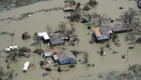 Dilaporkan 6 orang tewas dalam musibah ini. Penyebabnya mulai dari tertimpa pohon hingga keracunan genset. AP Photo/David J. Phillip.