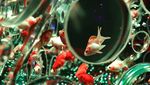 Museum Seni di Tokyo Pamerkan Puluhan Ribu Ikan Mas