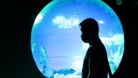Meski begitu, pengunjung diimbau untuk mematuhi protokol kesehatan saat melihat beragam ikan mas di dalam akuarium museum seni tersebut.