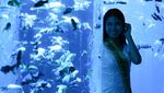 Museum Seni di Tokyo Pamerkan Puluhan Ribu Ikan Mas