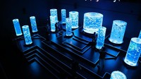 Sejumlah pengunjung tampak melihat beragam ikan mas di dalam akuarium yang dipamerkan di Art Aquarium Museum, Tokyo, Jepang, Jumat (28/8/2020).