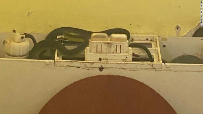 Sofie Pearson discovered four snakes inside her toilet tank after it became difficult to flush.