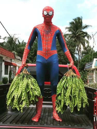 Spider-Man jualan petai.