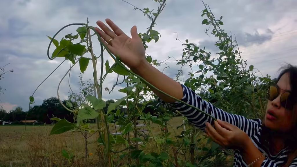Tinggal di Jerman, Wanita Toraja Ini Punya Ladang Sayuran Indonesia