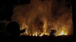 Waspada! Lahan di Riau Kembali Membara