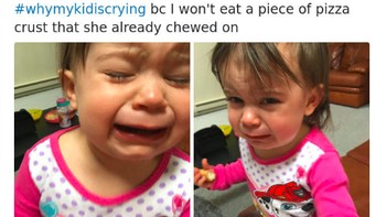 Tuh kan gemesin banget tingkahnya. Foto: srosebuckley via Bored Panda