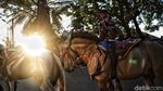 Wisata Berkuda di Jakut Jadi Relaksasi di Tengah Pandemi