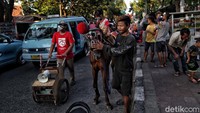 Tetapi mereka bersyukur karena masih bisa makan sehari-hari dan merawat kuda.