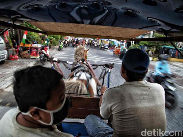 Wisata Berkuda di Jakut Jadi Relaksasi di Tengah Pandemi