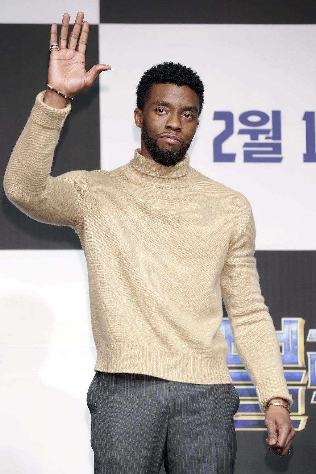 SEOUL, SOUTH KOREA - FEBRUARY 05:  Actor Chadwick Boseman attends the press conference for the Seoul premiere of 'Black Panther' on February 5, 2018 in Seoul, South Korea.  (Photo by Han Myung-Gu/Getty Images for Disney)