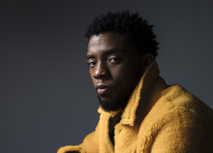 FILE - In this Feb. 14, 2018 photo, actor Chadwick Boseman poses for a portrait in New York to promote his film, 