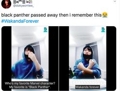 RIP Black Panther dan Wakanda Forever Menggema di Linimasa