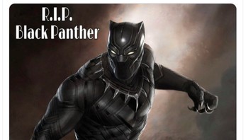 RIP Black Panther disuarakan banyak netizen sebagai ucapan duka mendalam. Foto: Twitter