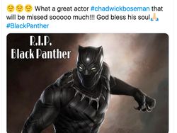 RIP Black Panther dan Wakanda Forever Menggema di Linimasa
