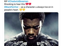 RIP Black Panther dan Wakanda Forever Menggema di Linimasa