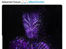 RIP Black Panther dan Wakanda Forever Menggema di Linimasa