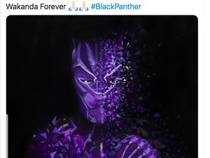RIP Black Panther dan Wakanda Forever Menggema di Linimasa