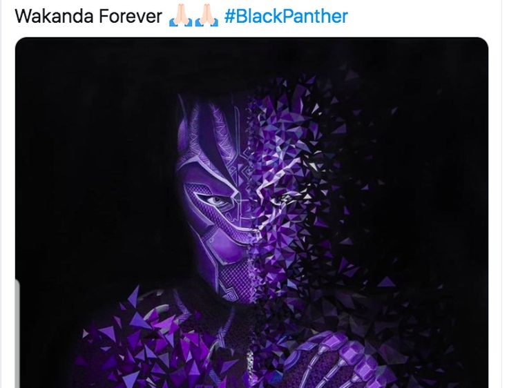 RIP Black Panther dan Wakanda Forever Menggema di Linimasa