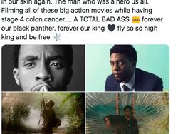 RIP Black Panther dan Wakanda Forever Menggema di Linimasa