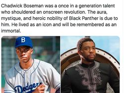 RIP Black Panther dan Wakanda Forever Menggema di Linimasa