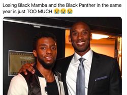 RIP Black Panther dan Wakanda Forever Menggema di Linimasa