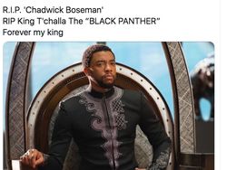 RIP Black Panther dan Wakanda Forever Menggema di Linimasa