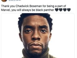 RIP Black Panther dan Wakanda Forever Menggema di Linimasa