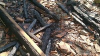 Salah satu kamar yang menjadi lokasi pertama api paling parah. Barang-barang di kamar itu tampak hangus tak bersisa. Sementara itu tampak sepeda dan perabotan juga hangus terbakar.
