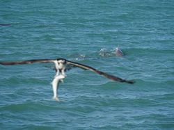Ketika Kejadian Tidak Terduga Bikin Foto Jadi Terasa Istimewa